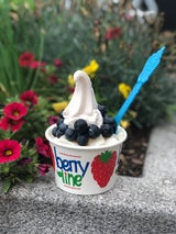 BerryLine Frozen Yogurt and Ice Cream | BerryLine Online Store