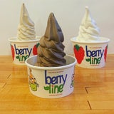 BerryLine Frozen Yogurt and Ice Cream | BerryLine Online Store