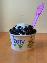 BerryLine Frozen Yogurt and Ice Cream | BerryLine Online Store